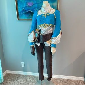 The Legend of Zelda Breath of Wild Princess Zelda